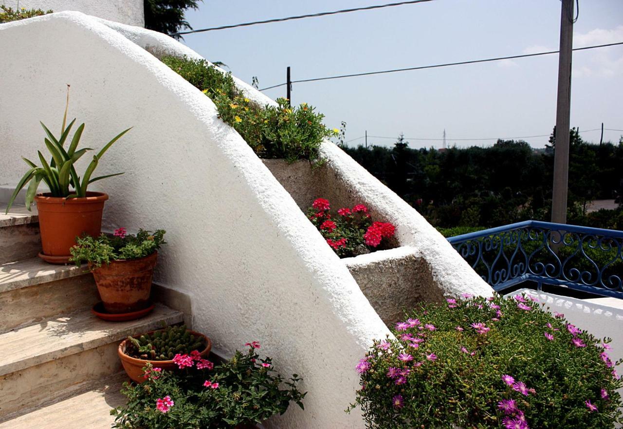 קסטלאנה גרוטה Patty Green House מראה חיצוני תמונה