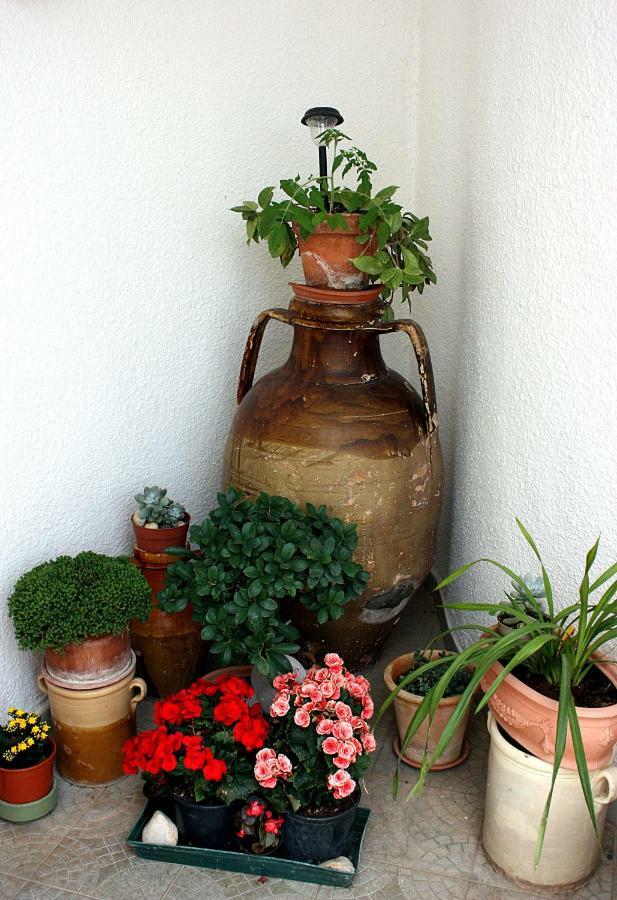קסטלאנה גרוטה Patty Green House מראה חיצוני תמונה